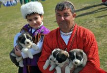 It eýesiniň saglygyna peýda edýärmi?