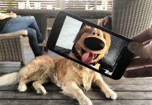 Smartfonyň kömegi bilen hakykaty we toslamany gardylar. Netijede nämeler boldy?