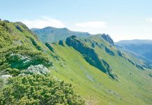 Balkan dagynyň endemik ösümlik dünýäsi.