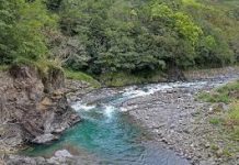 Почему нельзя пить солёную воду