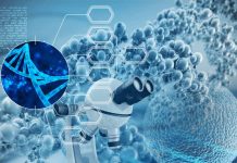 Sanly ykdysadyýetiň tehnologiýalary we gurallary