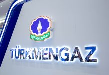 Hytaý $8,41 milliardlyk türkmen gazyny import etdi