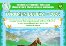 TÜRKMEN BEDEWI – 2026